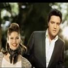 elvis_nao_morreu_ainda_bem