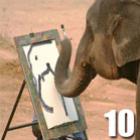 10_atributos_humanos_encontrados_nos_animais