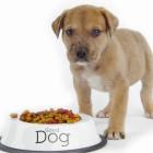 oferecer_alimentos_industrializados_aos_pets_exige_cuidado