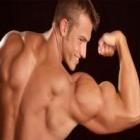 Dicas para treinar o bíceps com o máximo de perfeição