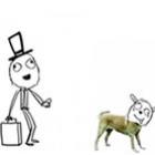 cachorro_vs_gato
