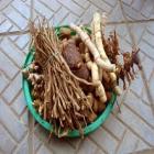 viagra_africano