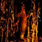 os_seres_demoniacos_das_plantacoes_20_imagens