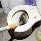 homem_senta_na_privada_e_leva_picada_de_cobra_no_penis