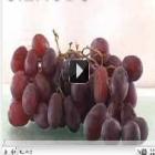 timelapse__uvas_viram_passas_em_30_segundos__
