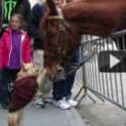 momento_cuti_cuti_animais