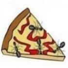 como_vc_ve_as_formigas_na_sua_pizza