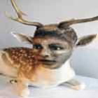 artista_esculpe_rostos_humanos_em_animais_empalhados