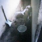 salvador_mulher_filma_vizinha_espancando_cachorro_veja_video_