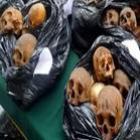 curandeiro_e_detido_na_capital_do_peru_com_180_cranios_humanos