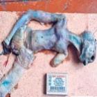 alien_da_russia_tem_corpo_de_pao_e_pele_de_galinha