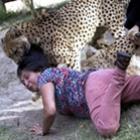 guepardos_atacam_mulher_e_marido_tira_fotos