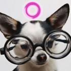 identificando_um_pseudo_intelectual_no_orkut