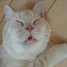 voce_tem_chule_