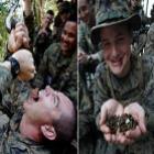 militar_americano_toma_sangue_de_cobra_em_exercicio_de_sobrevivencia