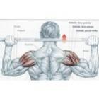 melhores_exercicios_para_ombro
