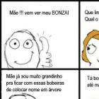 mae_comprei_um_bonzai