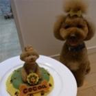 aniversario_bom_pra_cachorro_bolos_em_formato_de_dogs