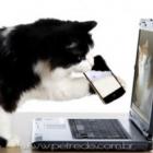 quem_prefere_gatos_tem_7_maior_chance_de_ter_um_android