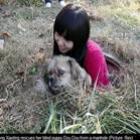 cachorro_cego_sobrevive_apos_ficar_dois_meses_em_buraco
