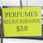 camelo__nivel_paraguaio