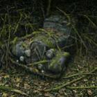 peter_lippmann_mostra_carros_dominados_pela_natureza
