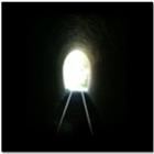 sumindo_embaixo_do_trem
