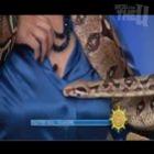 cobra_entra_na_blusa_de_apresentadora_de_tv_ao_vivo