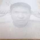 um_retrato_com_13138_dados_
