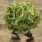 15_imagens_muito_curiosas