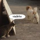 trolada_dando_errado