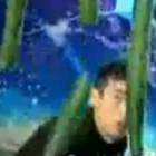 chines_faz_sucesso_ao_cortar_pepinos_com_cartas_de_baralho_