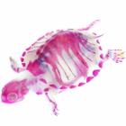 animais_transparentes