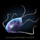 giardia_atinge_caes_de_todas_as_idades