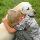 garoto_pula_em_rio_e_faz_respiracao_bocaaboca_para_salvar_cachorro_