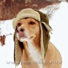 ferias_de_inverno_com_os_pets_