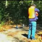 sortudo_azarado_ou_idiota_mesmo