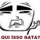 danca_da_gatinha_na_webcam