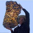  De outro mundo: conheça a beleza do meteorito Fukang