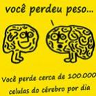 10_curiosidades_que_voce_nao_sabe_35