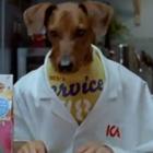 essa_comida_e_boa_pra_cachorro