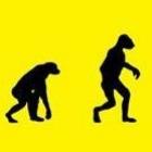 Mitos Desmentidos - O Homem Moderno Evoluiu dos Macacos  