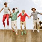 confira_10_coisas_que_voce_nao_sabia_sobre_one_direction