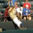 torcedor_tenta_agarrar_bola_de_beisebol_e_acaba_morrendo