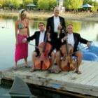 pegadinha_do_ataque_do_tubarao_com_um_fundo_musical