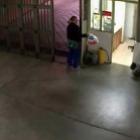 como_ser_esmagado_por_um_portao_eletronico