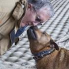 bombeiros_resgatam_pit_bull_que_caiu_em_riacho_nos_eua