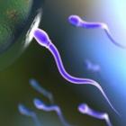 duvidas_femininas_sobre_fertilidade_masculina