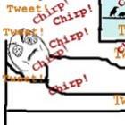 malditos_passaros_trolls