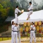 Conheça o melhor grupo de taekwondo do mundo